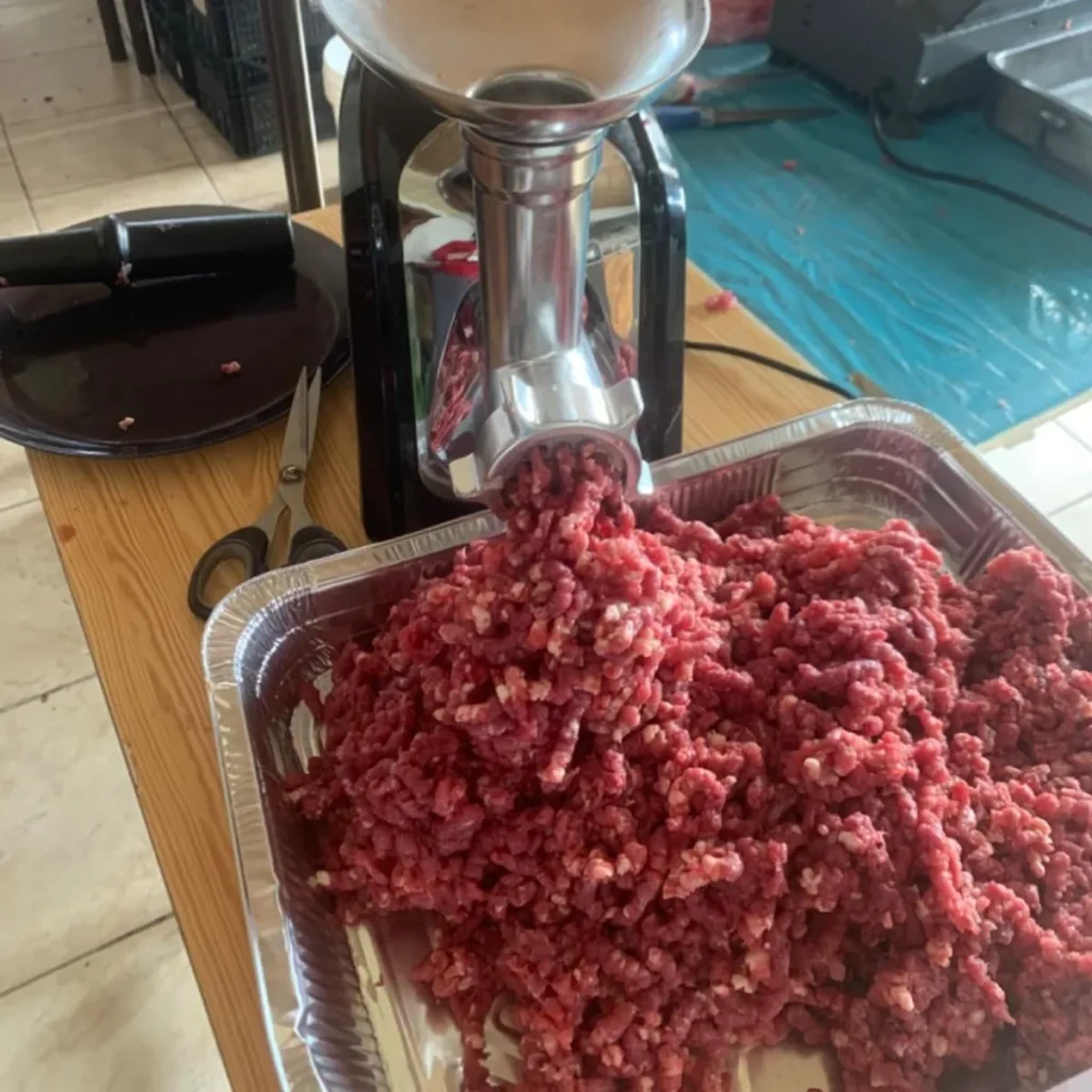 Electric-Meat-Grinder-Demo-MG-100.webp